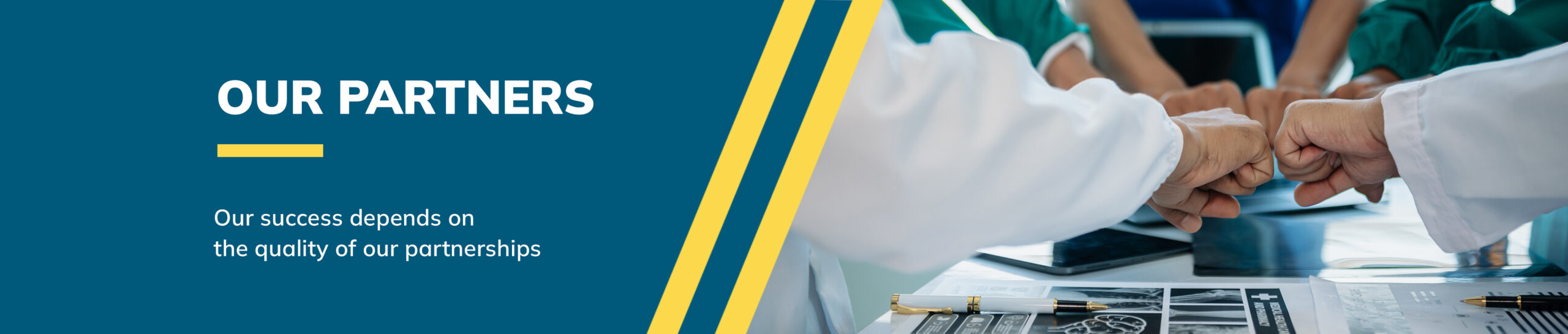 Our Partners-sapphire_26NOV25